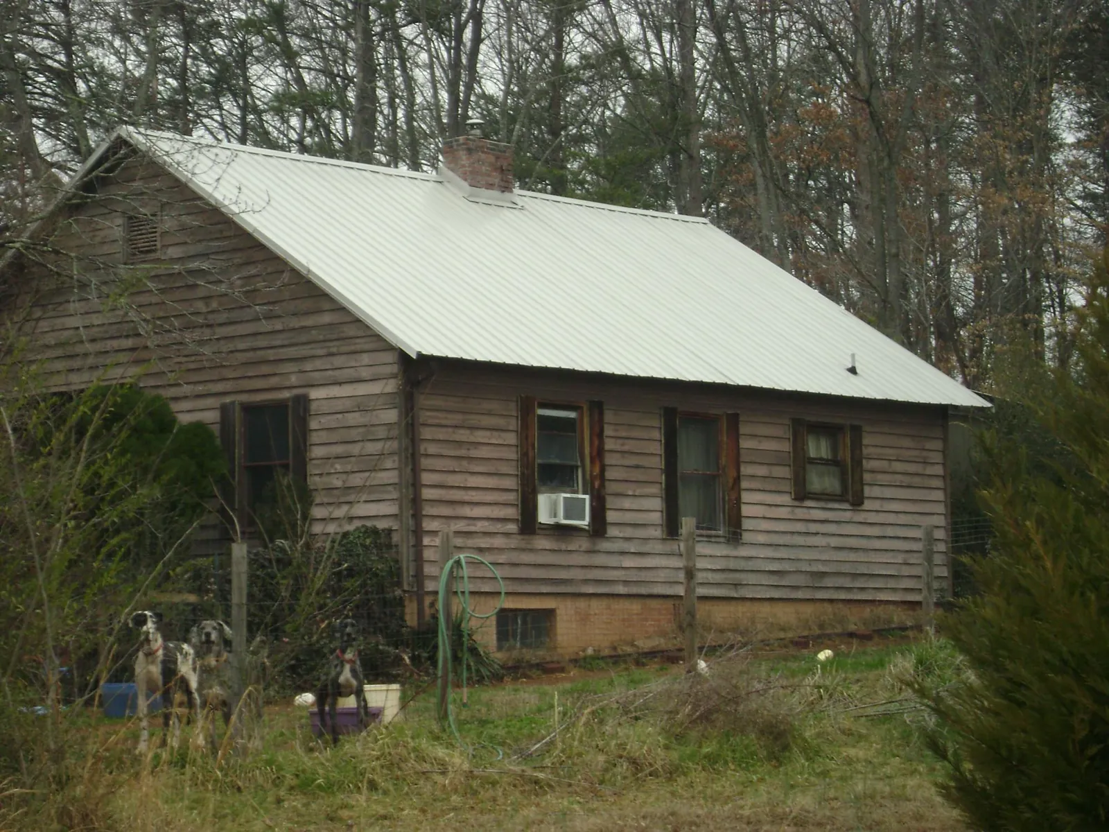 White metal roof on an old wood sided farmhouse, from a Asphalt Shingle Roof Repair job in Lane